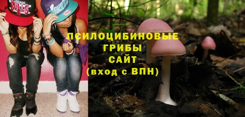 Галлюциногенные грибы Magic Shrooms  KRAKEN маркетплейс  Лаишево 